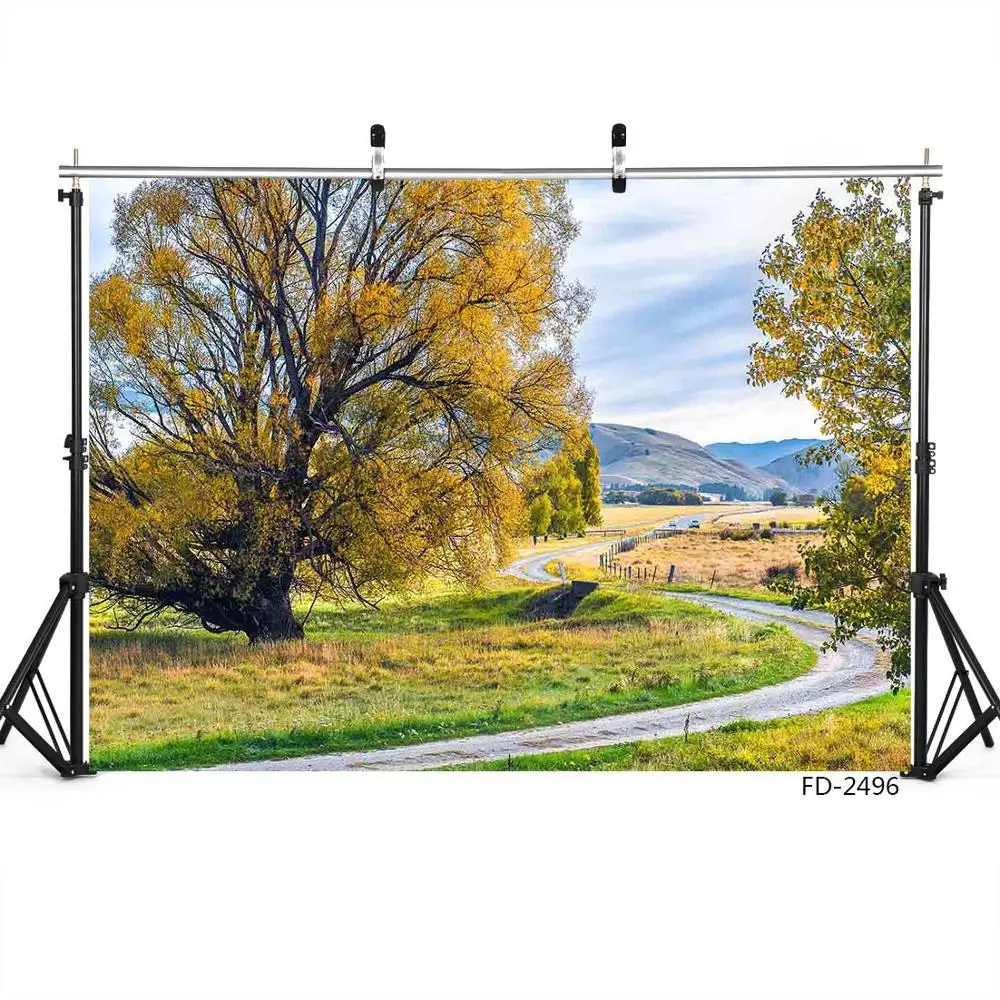 Fundo fotográfico para estúdio de fotografia, para outono, árvore, grama, campo de estrada, retrato para crianças recém-nascidas