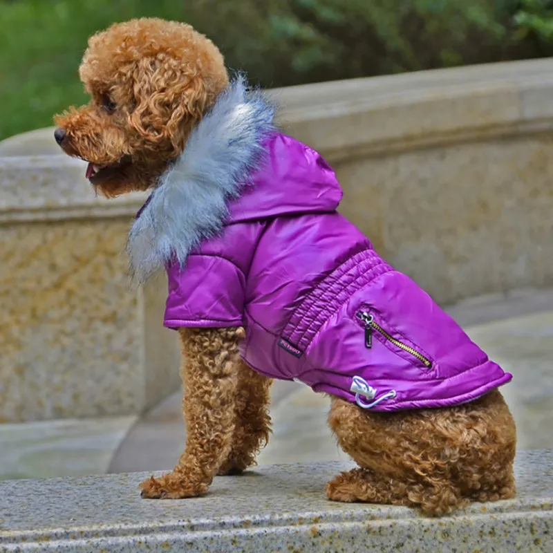 New Pet Dogs Jacket Coat Clothes Fashion Hoodie Coat Small Medium Large Dogs Autumn Winter Warm Costume Home Pet Clothes Product