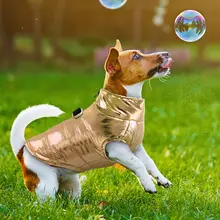 Waterproof Dog Jacket for Small Breeds #5