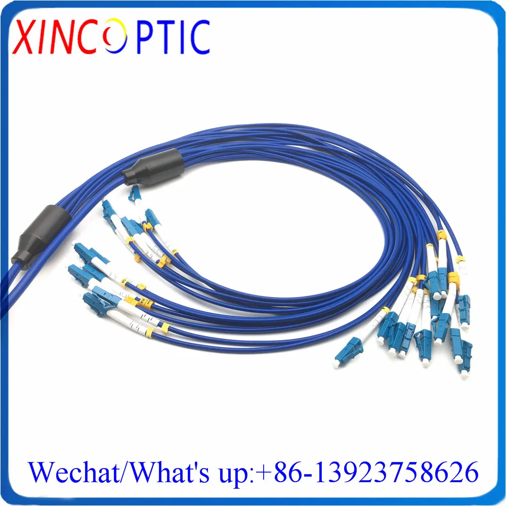 10Mtr 12Cores Singlemode CRIP FTTA 12C LC-ST/FC/ST/SC SM PVC Blue Jacket 12F 10M Armored Fiber Optic Patch Cord/Leads Cable