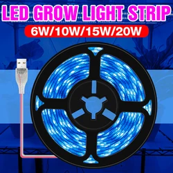 USB Full Spectrum for Plants 5V LED Grow Light Strip 2835SMD 0.5m 1m 2m 3m LED Phyto Lamp Hydroponic Greenhouse Seedlings Growth