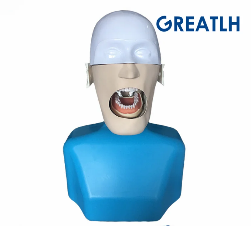 Dental manikins Phantom Head for dentistry and dental technology Sennior manikins Phantom Head with Torso teaching model