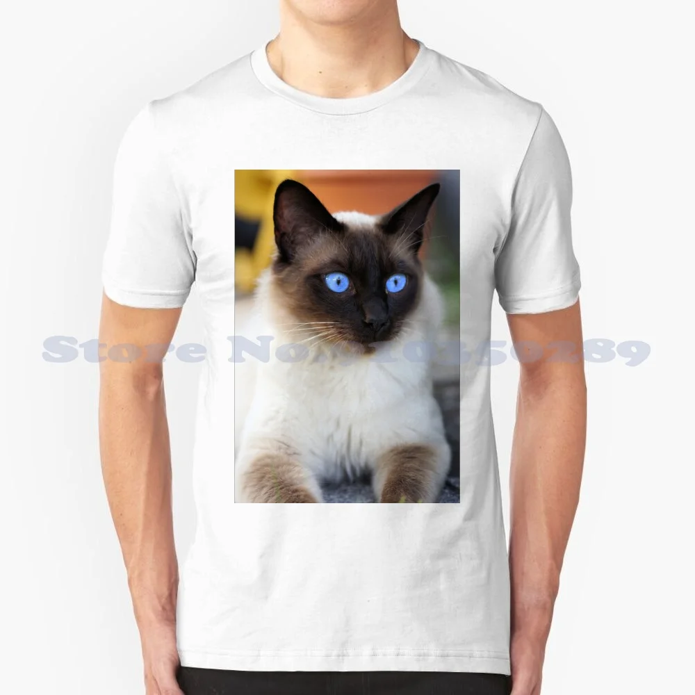 Camiseta de algodón 100% para gato siamés, prenda de vestir, muy bonita, para amantes de los gatitos