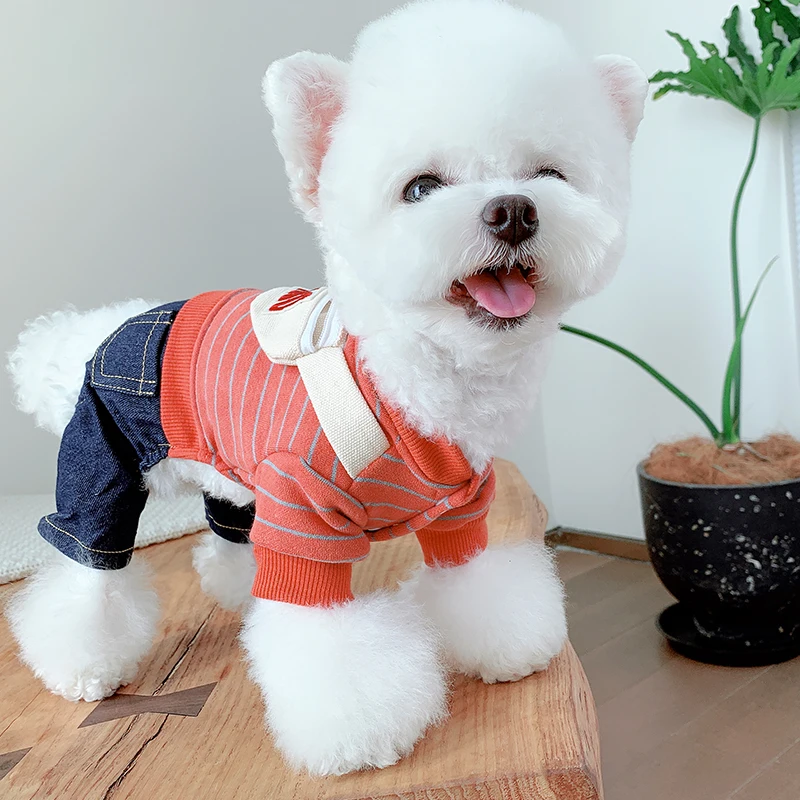 Snow Thicken Jacket For Small Dogs On Sale Puppy Cheap Stripe Pocket Suit With Denim Pant Pet Down Overalls Chihuahua Yorkshire