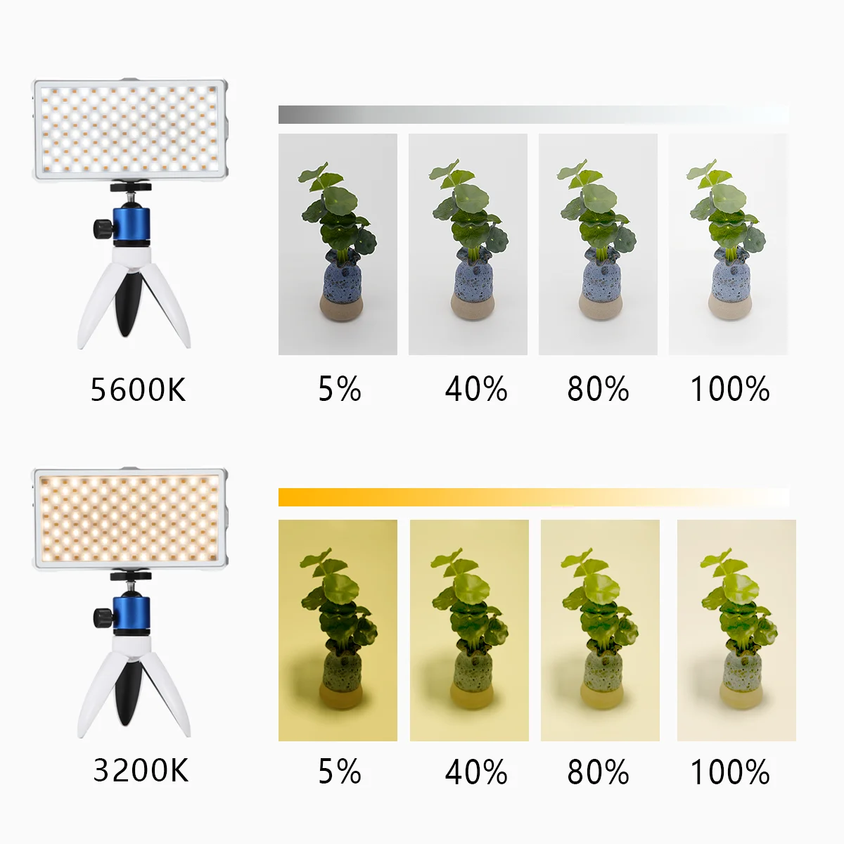 LEDフォトライトキット,12W,3200-5600K,4040mAh,液晶画面,コールドシューズ,ライブビデオ,ストリーミング