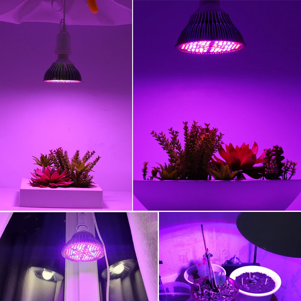 Lampe de croissance LED E27 à spectre complet pour culture hydroponique de plantes d'intérieur, éclairage pour floraison de légumes