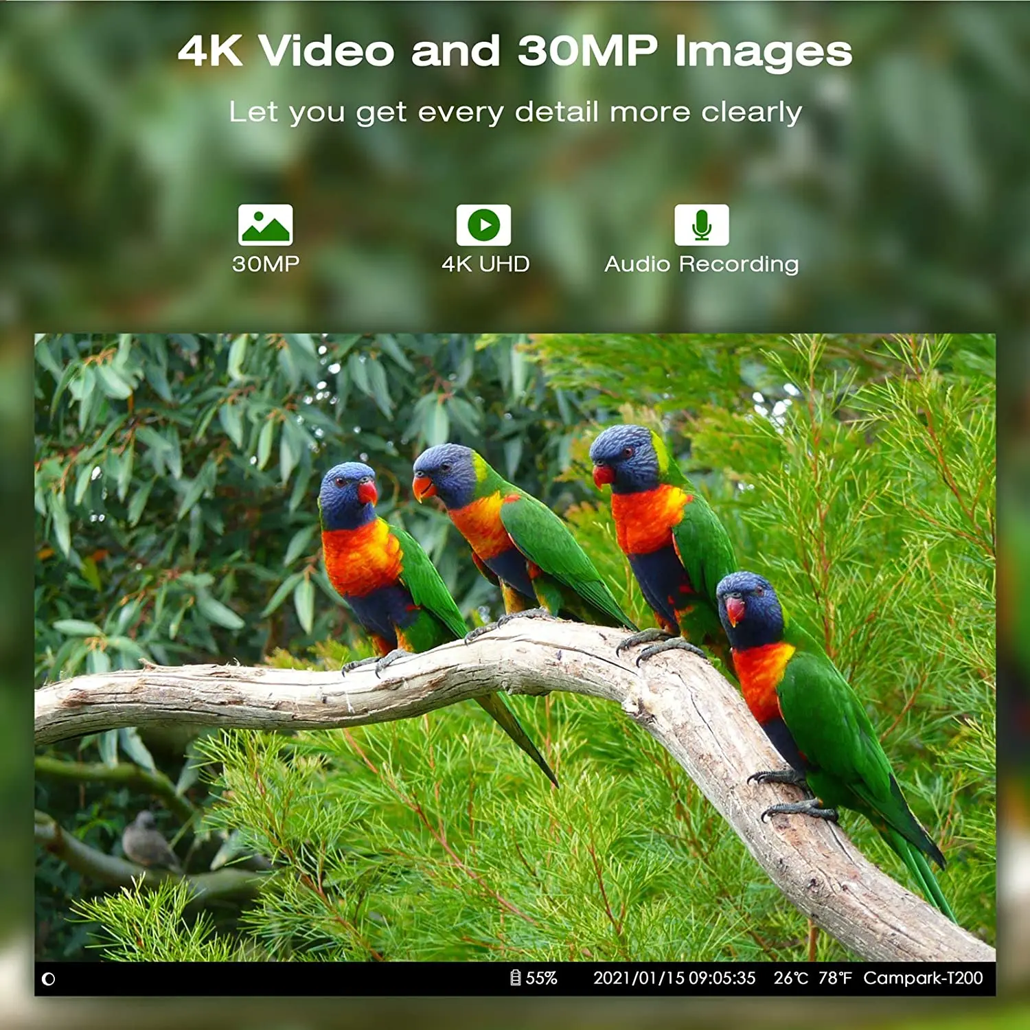 Imagem -02 - Transmissão ao Vivo App Controle Trilha Câmera Serviço de Nuvem Livre Wildlife Caça Câmeras 4g 30mp Visão Noturna sem Fio Hc810pro 4k