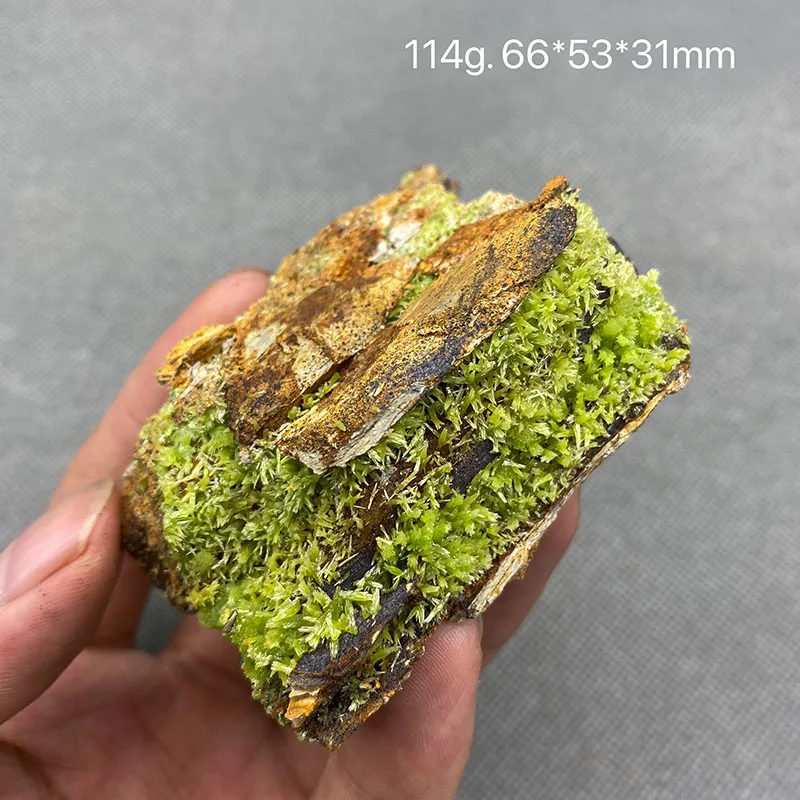 100% natural pyromorphite original stone mineral specimen cured crystal gem collection.