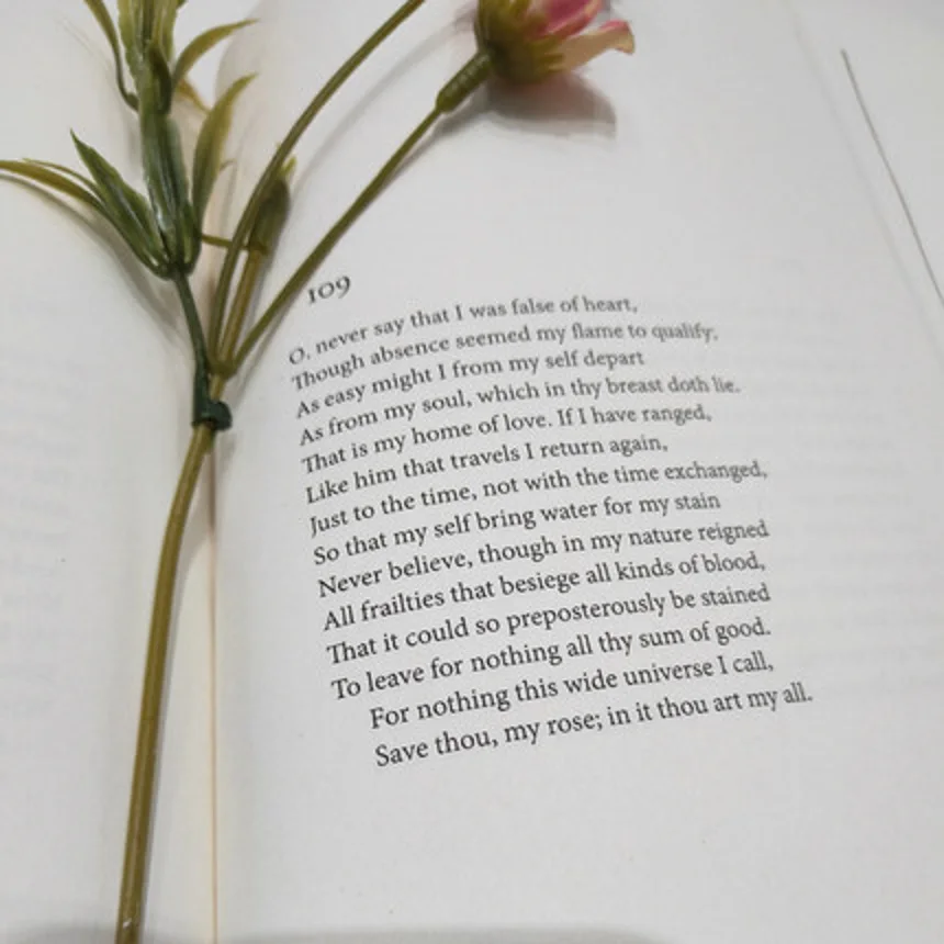 I Sonnets William estrattori World Classics In English Book