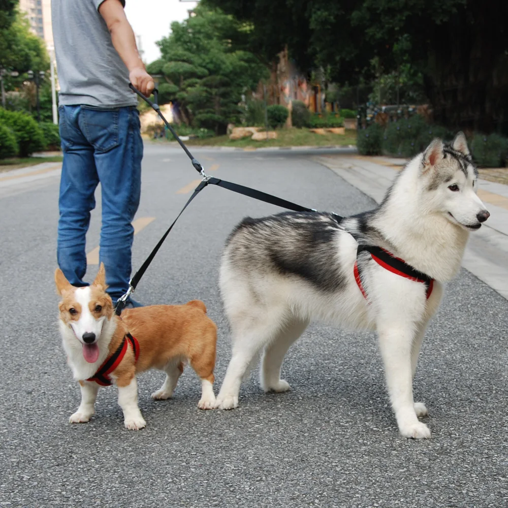 Double Leashes Pet Dog Coupler Leash Walking Lead Traction Rope for Two Dogs Running or Training Rope Leash Pet Accessorie