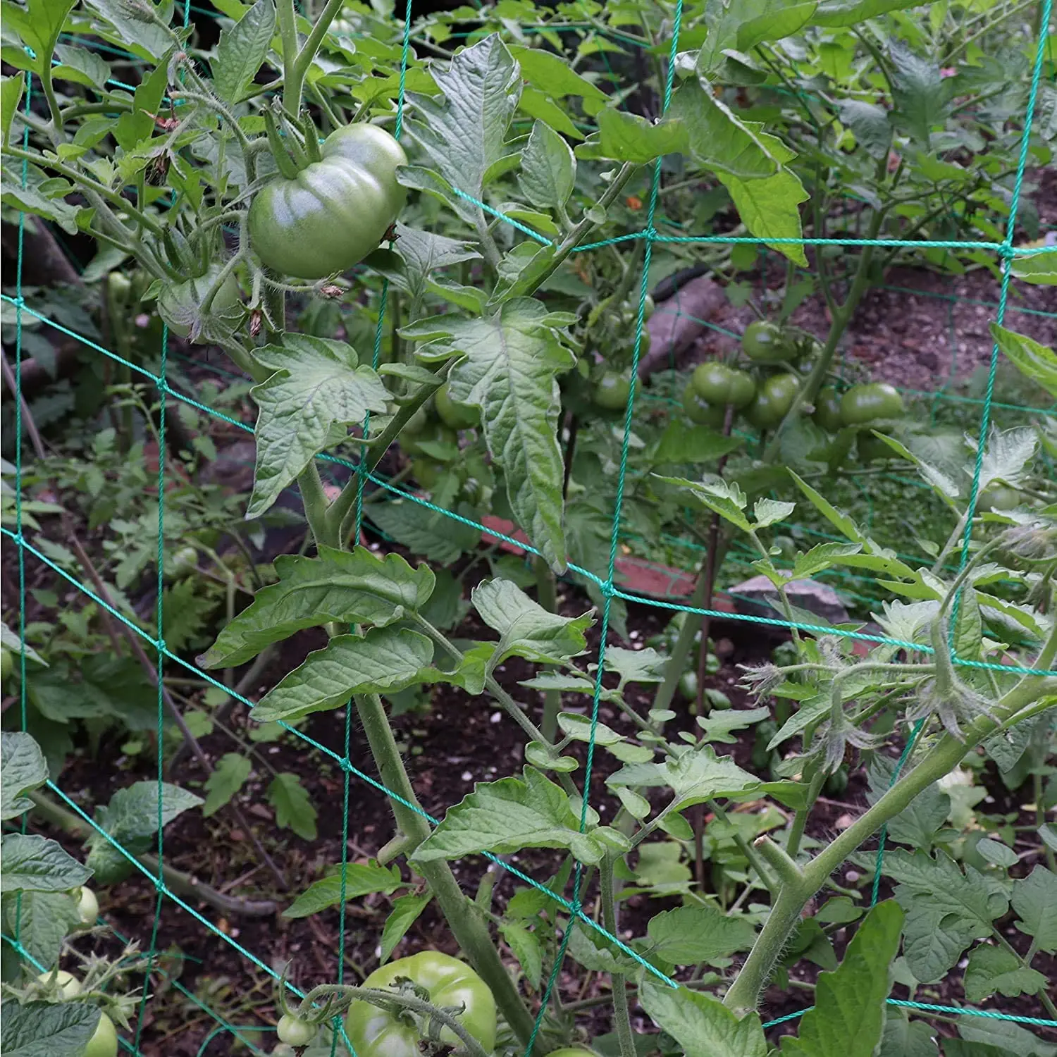 45/36/24 fili di 10x10cm rete da arrampicata per piante cellulari scaffali per piante da giardino rete per fiori vegetali rete da giardino tessitura