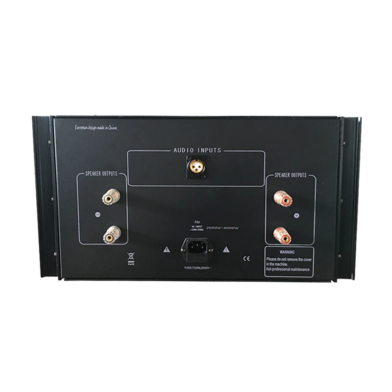 W-007 WENTINS ZG1550 Fully Balanced GMono 550W Power Amplifier 220V 50Hz Home Theater HIFI Amplifier