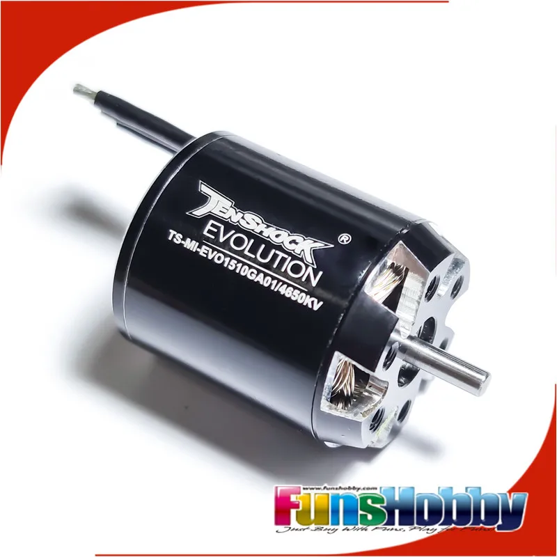 Tenshock Brushless Motor  For f5j project