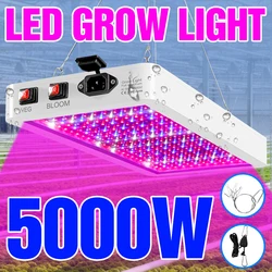 5000W LED ในร่ม Grow ไฟ LED หลอดไฟ220V เต็มสเปกตรัม Phytolamp 4000W 110V Hydroponics lampara LED Bombilla