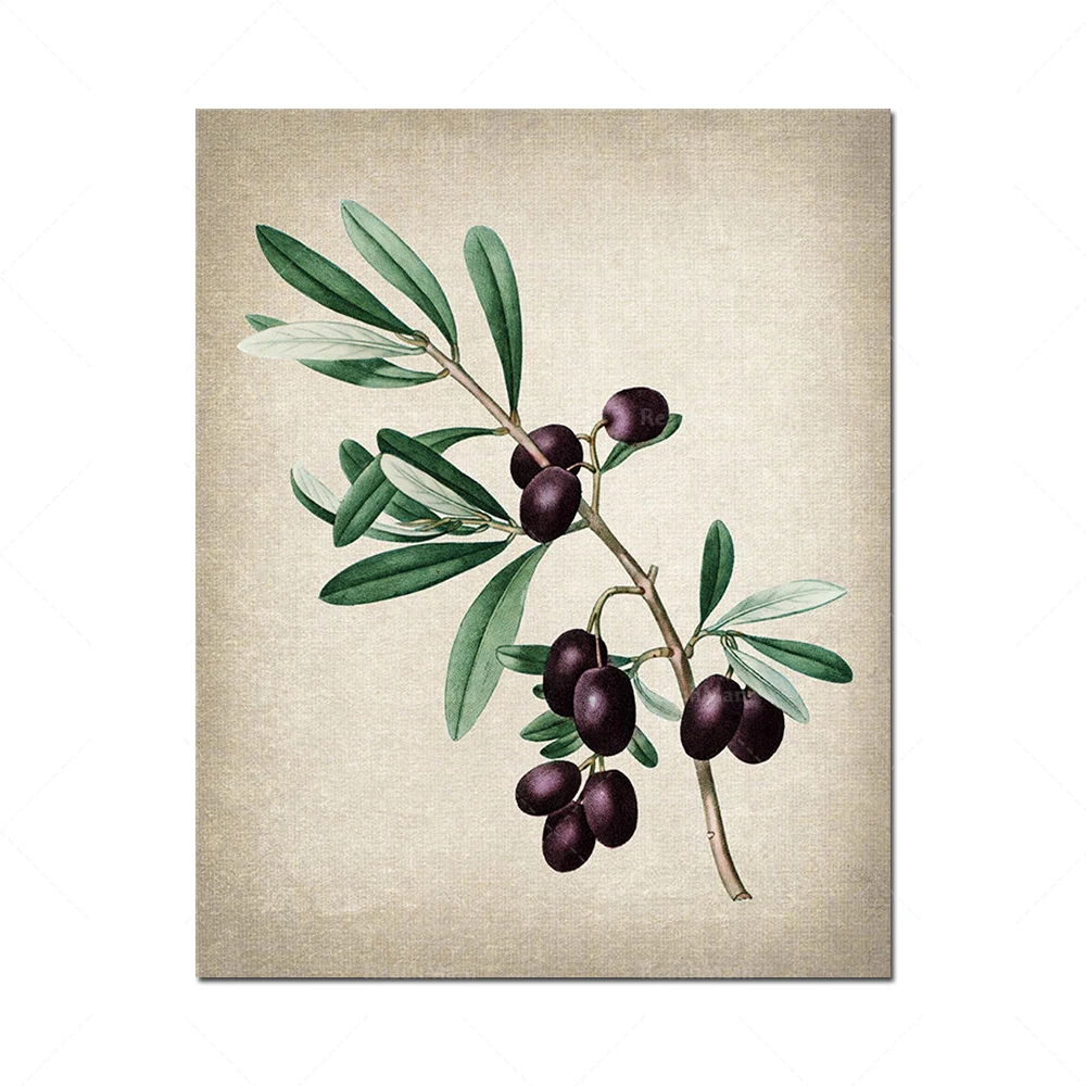 Ensemble de 9 pièces de décoration de plantes d'automne, illustrations botaniques rétro