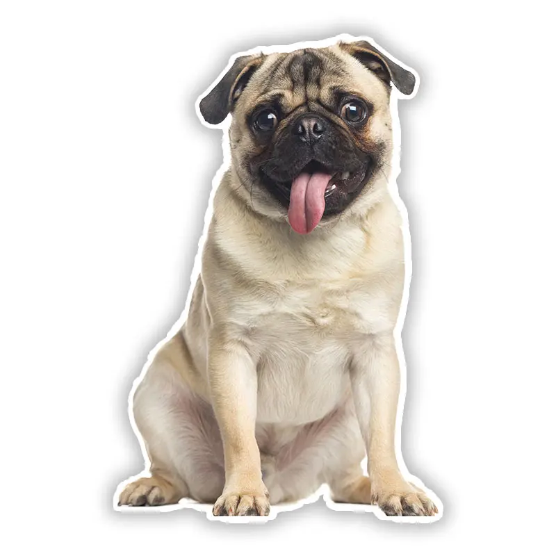 

B0689# Self-adhesive Decal Pug Dog V2 Car Sticker Waterproof Auto Decors on Bumper Rear Window Motorcycle Laptop Helmet