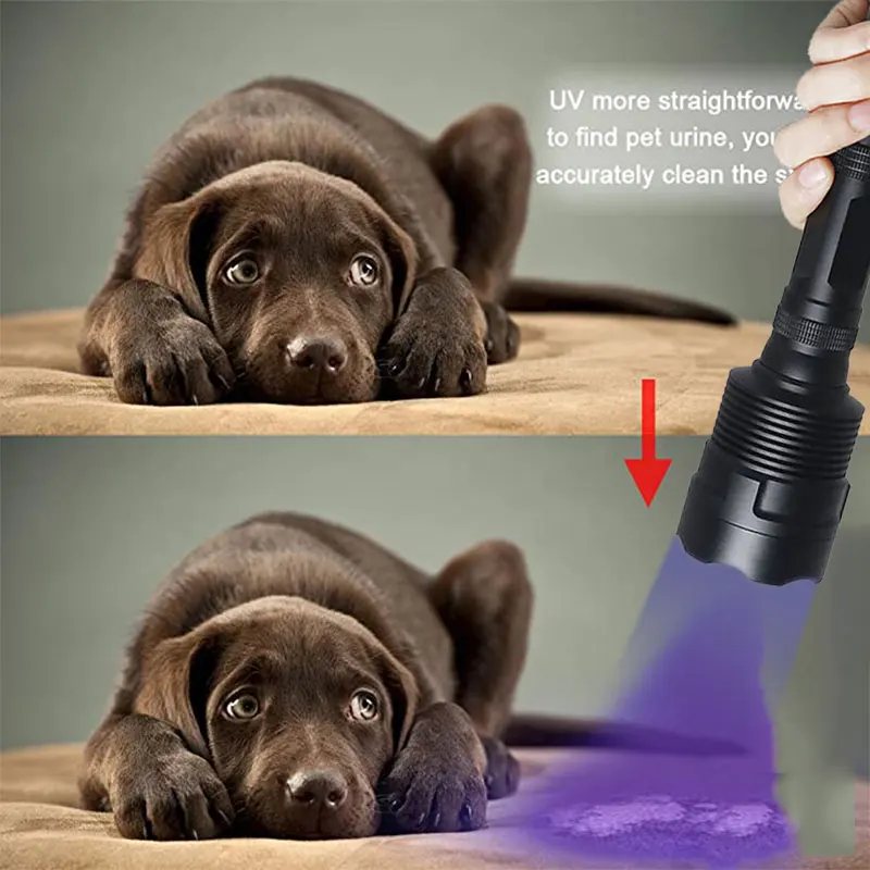 TMWT Strong beam Ultraviolet Light Torch Lamp Powerful 3LED UV Flashlight 395nm 365NM 18650 Matt Black Tactical Lanter