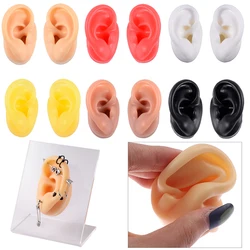 1PC Soft Ear Silicone Piercing Model Tattoo Practice Tools Earring Jewelry Display Acrylic Display Stand Kit Hot Sale