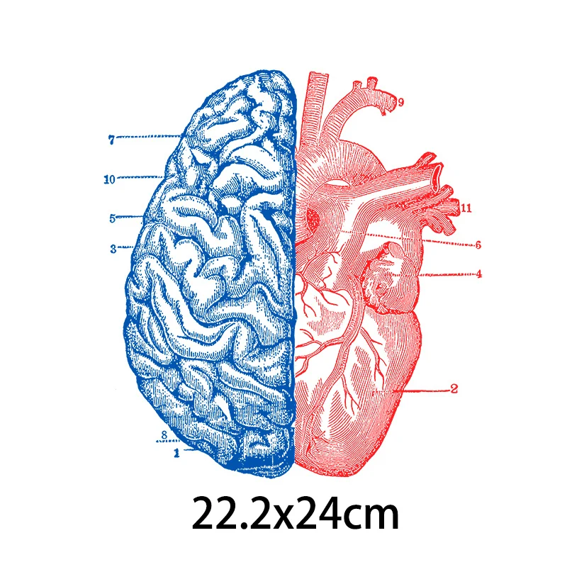 Czerwone serce żelazko na Transfer Vynil przenikania ciepła Punk mózg prasowanie naklejki T-shirt termiczne plastry na odzież DIY głowy naklejki