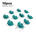 10 piezas Ray
