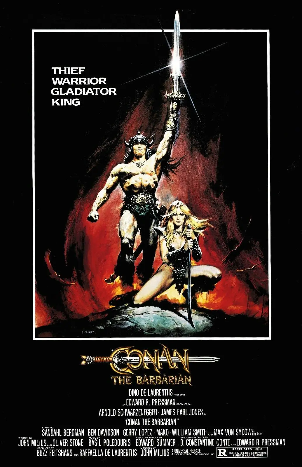 

Conan The Barbarian Movie Arnold Schwarzenegger Art Silk Poster Print 24x36inch