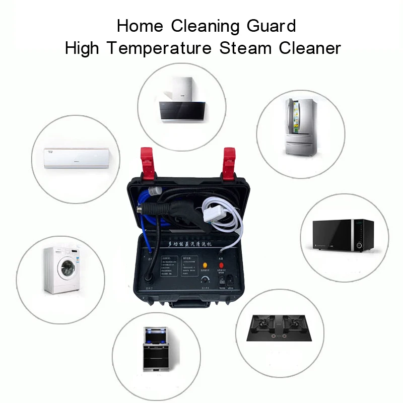 110V/220V Multifunctional Steam Cleaner High Temperature and High Pressure Air Conditioning Range Hood Car Cleaning Tool