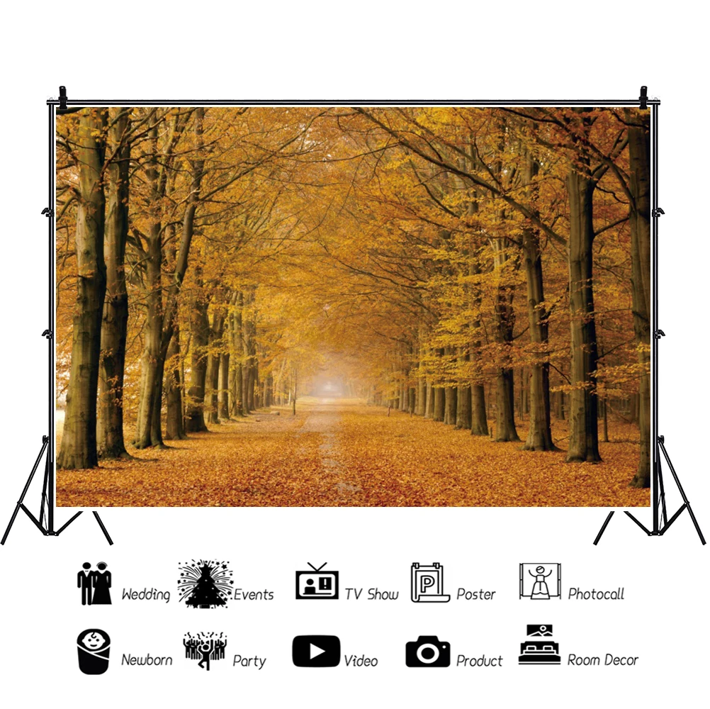 Yeele 가을 숲 낙엽 Photocall 자연 경관 사진 배경 사진 스튜디오 사진 배경