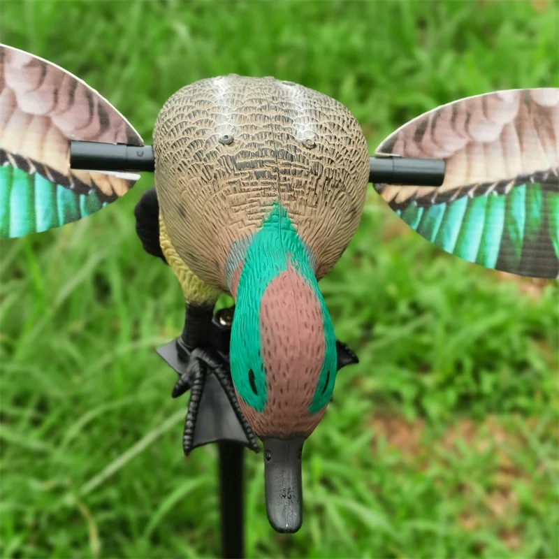 Duck Hunting Teal, Xilei, 2019 New