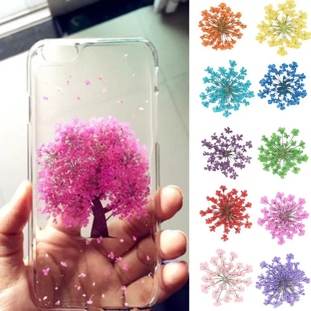 100Pcs Natural Dried Flowers Pressed Colorful Dried Ammi Majus Flower Epoxy Resin Nail Art AcesoriesCraft DIY Phone Shell Decor