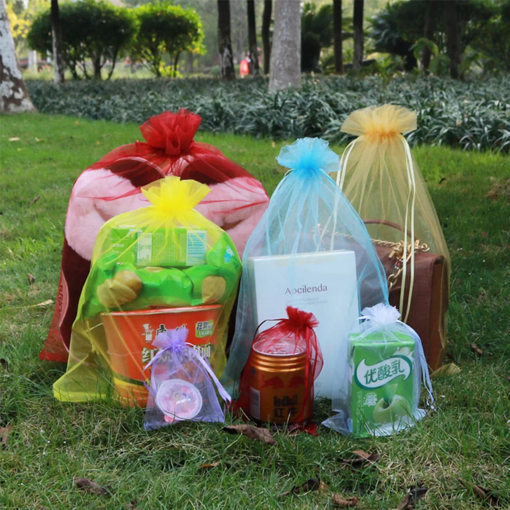 Garden Vegetables Fruit Grow Plants Protection Bags Anti-Bird Gardening Drawstring Netting Candy Grape Apple Mesh Pouch