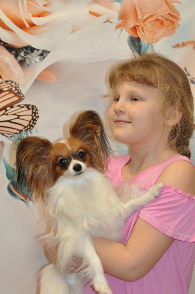 الربيع الوردي زهرة خلفية التصوير الفوتوغرافي ، خلفية لحديثي الولادة استحمام الطفل ، عيد ميلاد ، الزفاف ، فوتوفون ، فوتوفون ، استوديو الصور