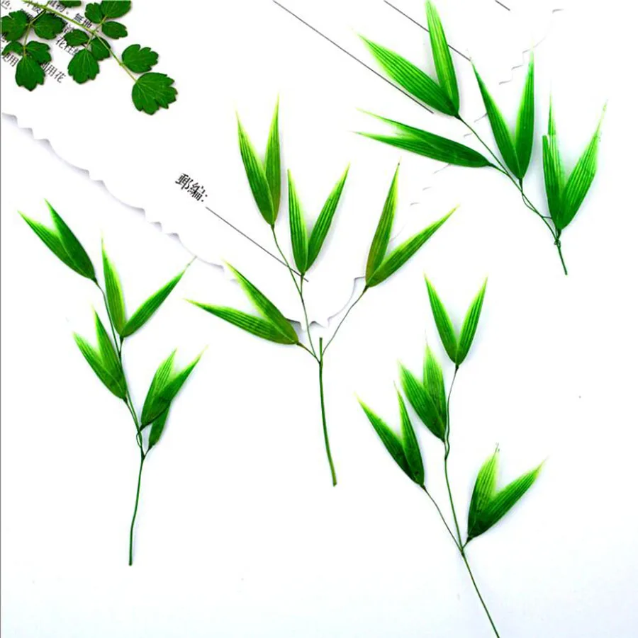 120pcs Pressed Dried Bamboo Leaf Flower Plants Herbarium For Jewelry iPhone Phone Case Bookmark Frame DIY Making Accessories