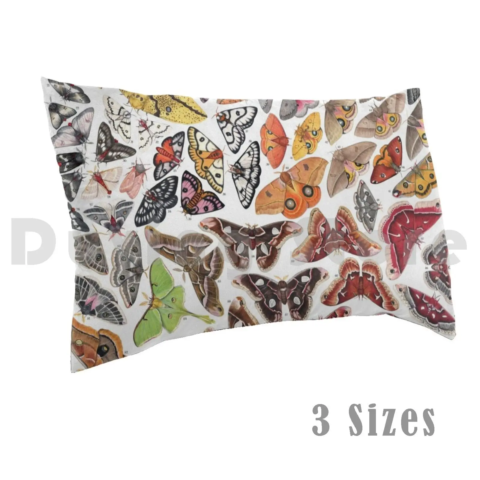 Pillow Case Saturniid Moths Of North America 982 Moth Lepidoptera Insect Animal Entomology