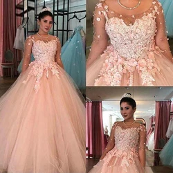 3D Lace Ball Gown Quinceanera Dresses 2021 Blush Pink Scoop Long Sleeves Plus Size Sweet 16 Dresses Debutante 15 Year Prom party