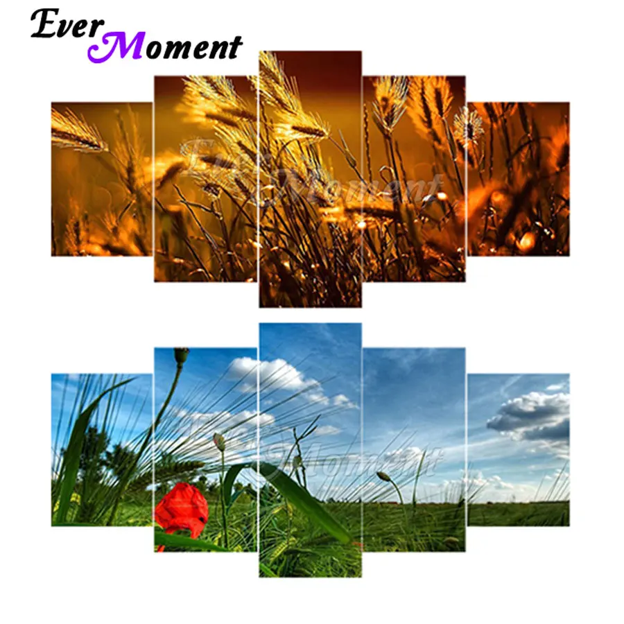 

Ever Moment Diamond Painting Paint By Diamond Multi-picture Full Square Resin Drill Handmade Decoration Scenic Nature Gift 1M022