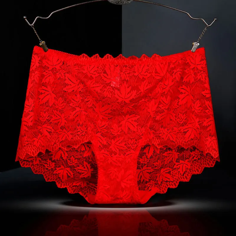 langerie sexy underwear women plus size briefs female lace hollow lace high waist ropa interior bragas lenceria sensual mujer