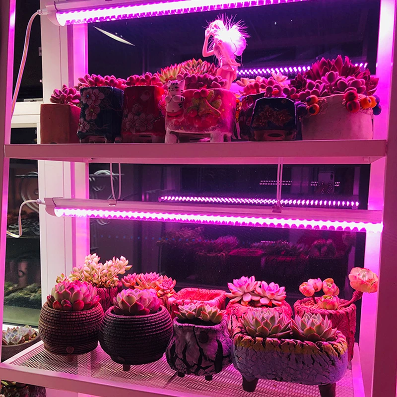 10ชิ้น/ล็อต LED Grow ชิป COB Full Spectrum LED Grow Light Phyto โคมไฟ AC 110V 220V 50W สำหรับในร่มพืชต้นกล้า Grow โคมไฟ