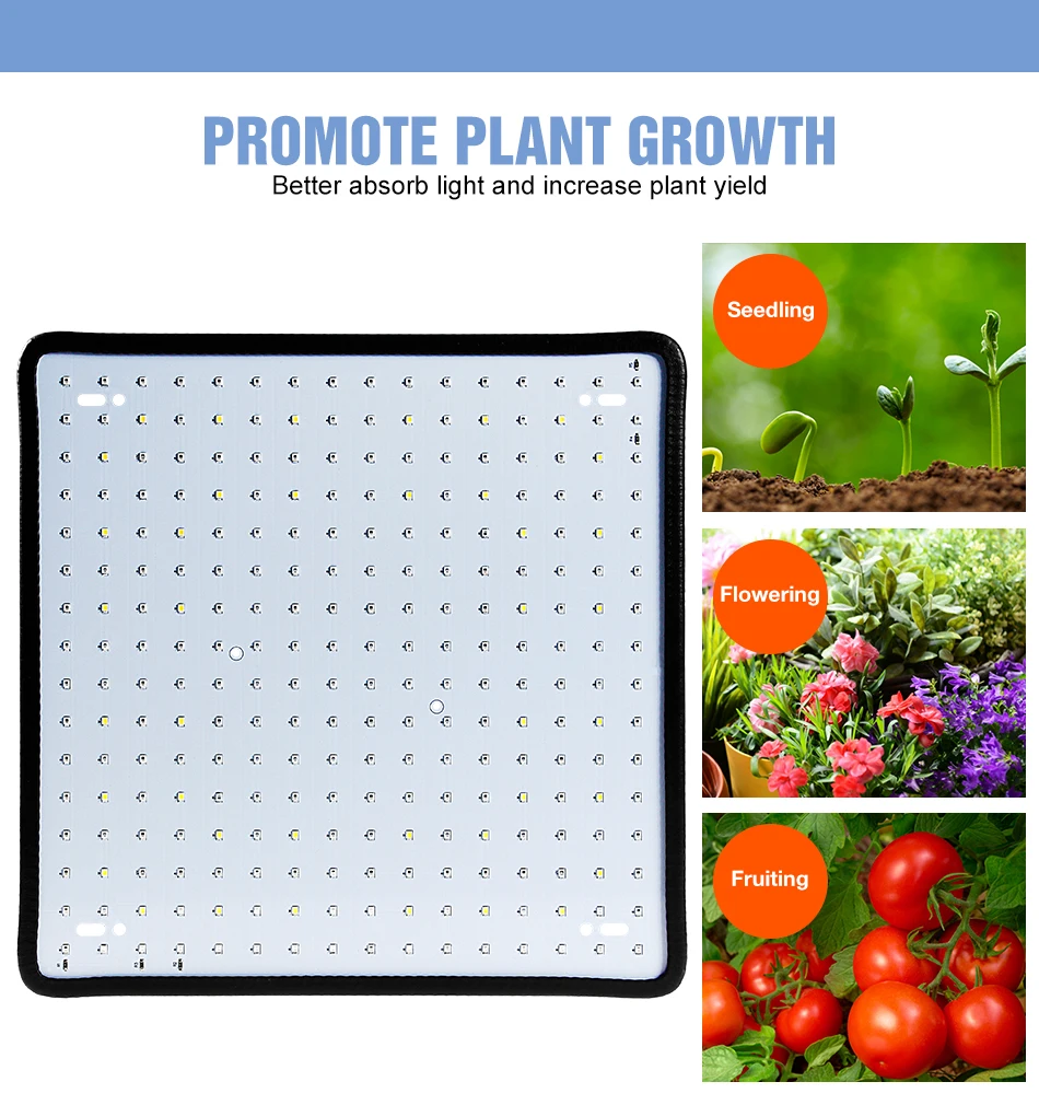 Phytolamp LED de espectro completo para plantas, luz de cultivo, semillas de flores de interior, cultivo hidropónico, lá