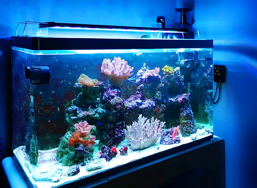 LICAH Marine Aquarium LED LIGHT STD-300