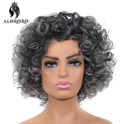 Alororo Afro Fluffy Short Curly Wigs for Black Women 12 Inches High Temperature Fibre Synthetic Wig Black Grey Wig