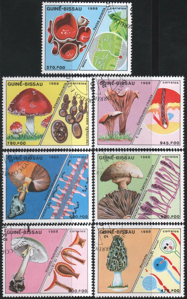 7Pcs/Set Guinea-Bissau Post Stamps 1988 Mushroom  Marked Postage Stamps for Collecting