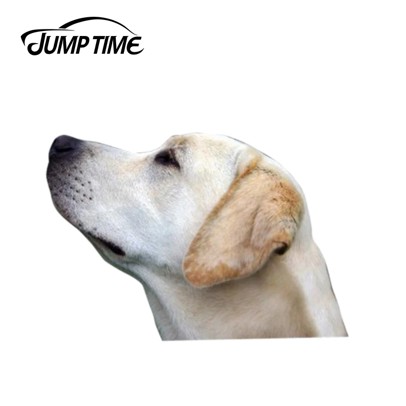 Jump Time 13cm x 9cm Yellow lab car window sticker car decal Vinyl Decal Car Window Laptop Bumper Animal Car Stickers