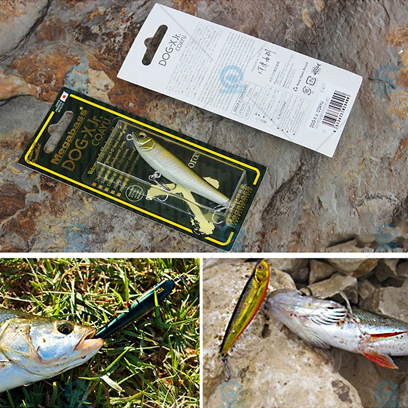 Megabass-DOG-X Jr. COAYU, Speed SLIDE, QUICK WALKER, Top Water