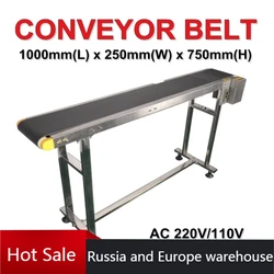 1000mm Single Buffles  Electric Conveyor Belt Machine Stainless Steel Mini Belt inkjet Conveyor Printer for Food Drinking Stiker