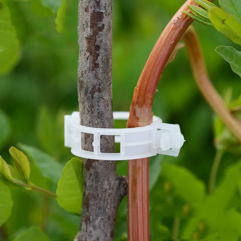 50pcs Garden Plastic Plant Clips Support Durable Vines Vegetable Fastener for Types Plants Greenhouse Farming Clip 30mm