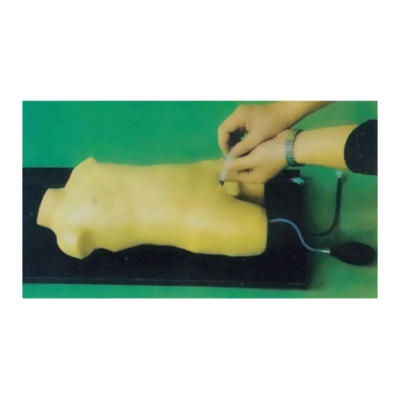 BIX-L3218 High quality Children femoral vein & femoral artery puncture training manikin