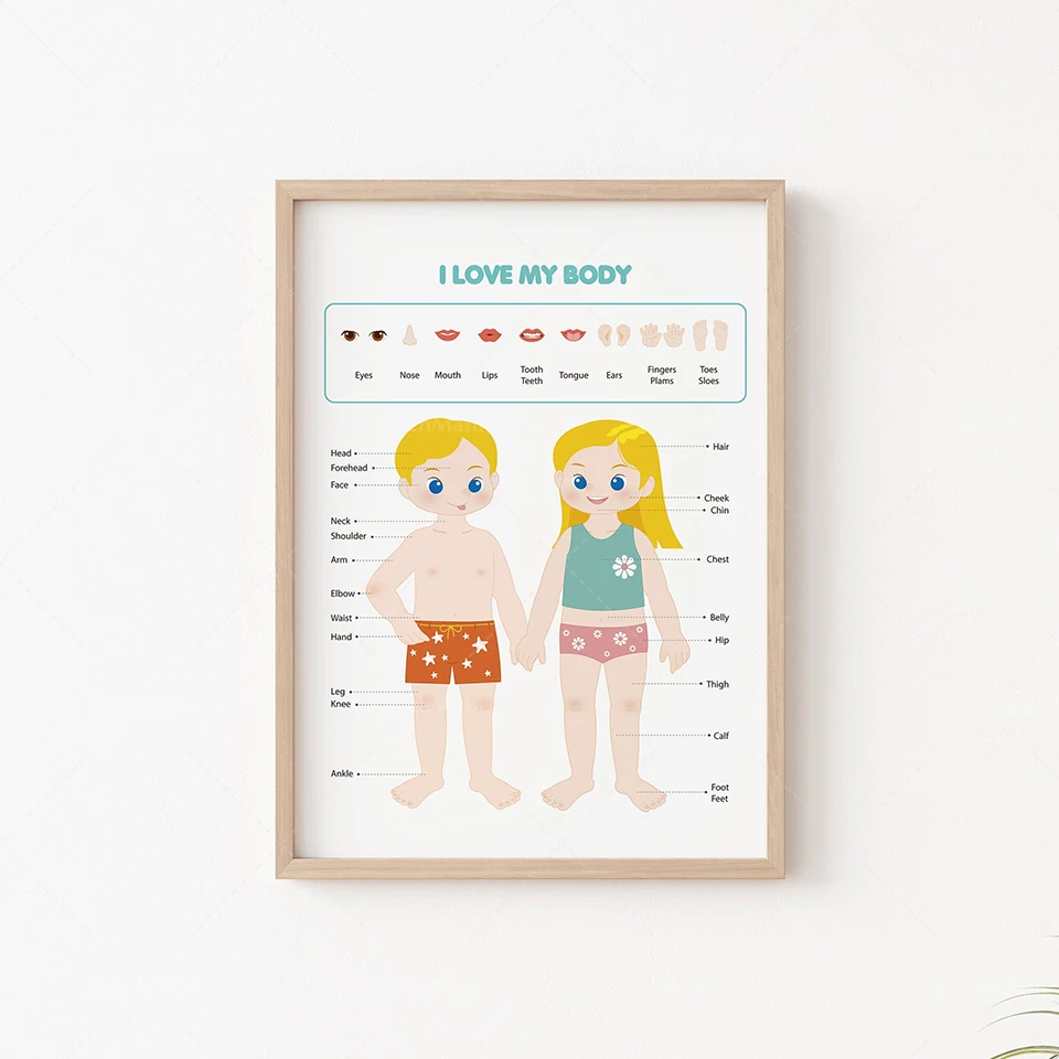 Children's body, educational print, anatomy, kindergarten wall art decoration poster