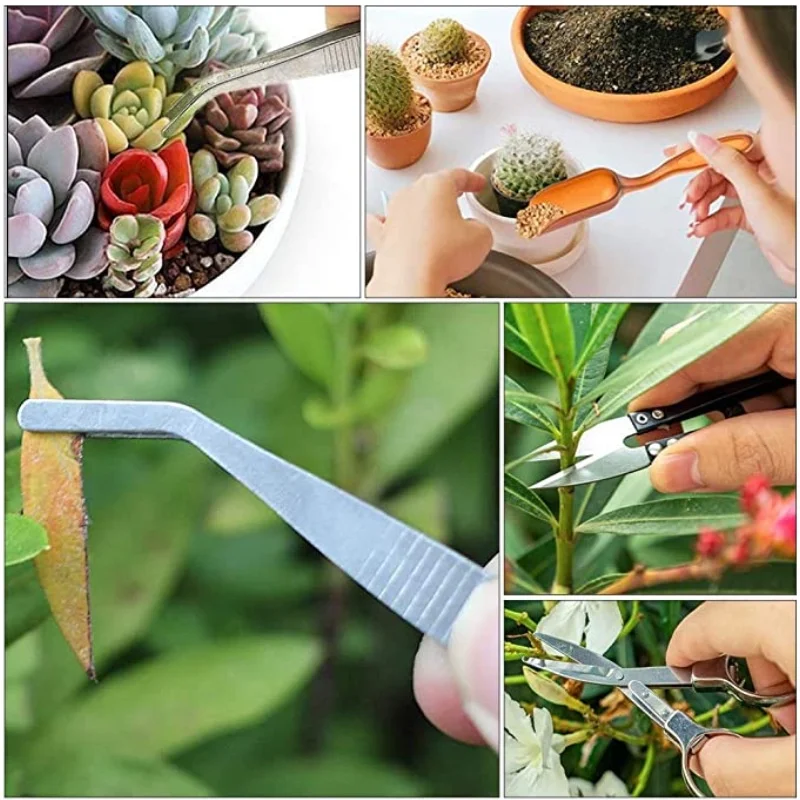 Ensemble d\'outils de plantation de 13 pièces pour succulentes et mini-plantes, pelle, cuillère, seau, outils de jardinage pour la fertilisation et