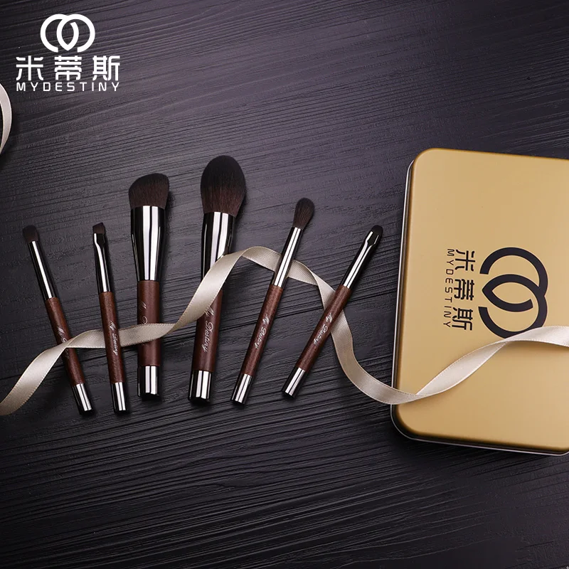 MyDestiny Make Up Brushes-Small magnet Series Cosmetic Brush Travelling set-6Pcs Synthetic Hair Portable Beginner Makeup Brushes