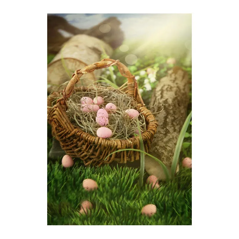 Old basket Easter egg photo background natural  portrait kid photography backdrop of photographer studio props fotografia GE-103